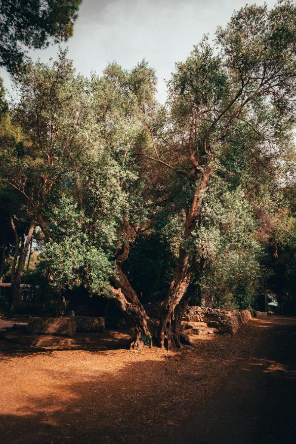 Appartamento I giardini di Santomaj Leporano Esterno foto